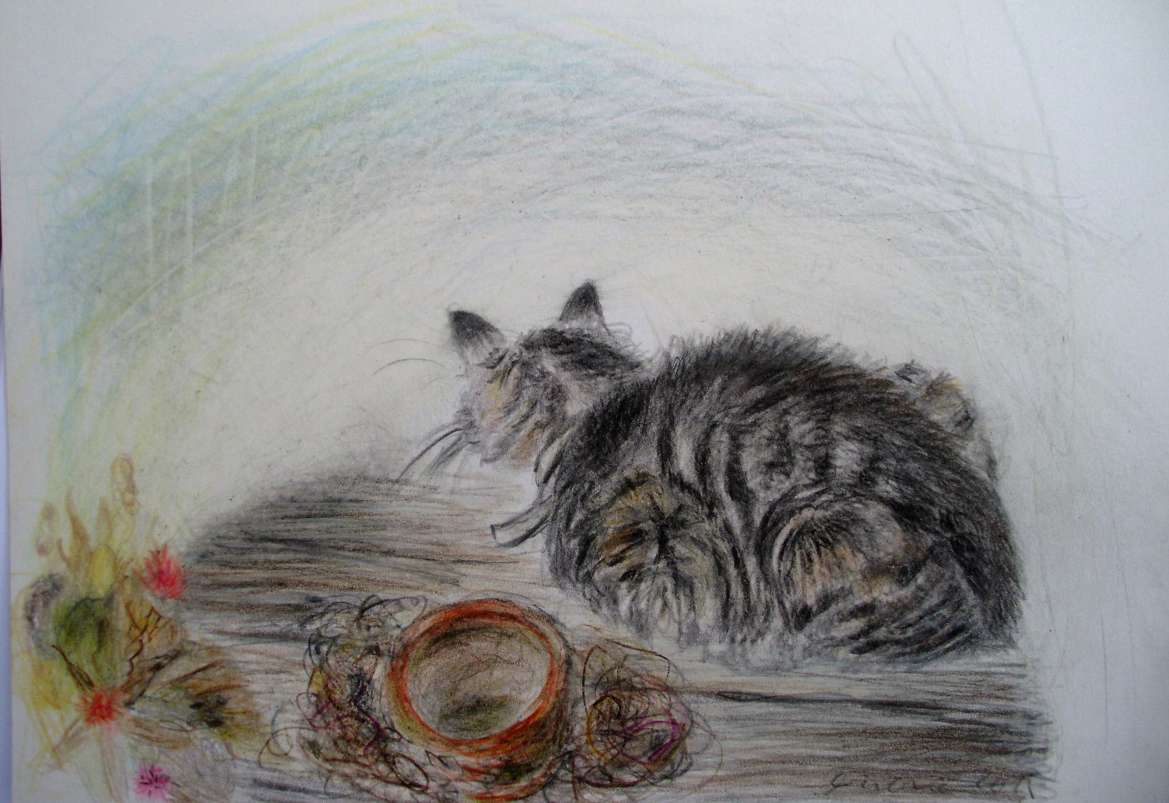 Blei- Buntstift, 21x15, 2015