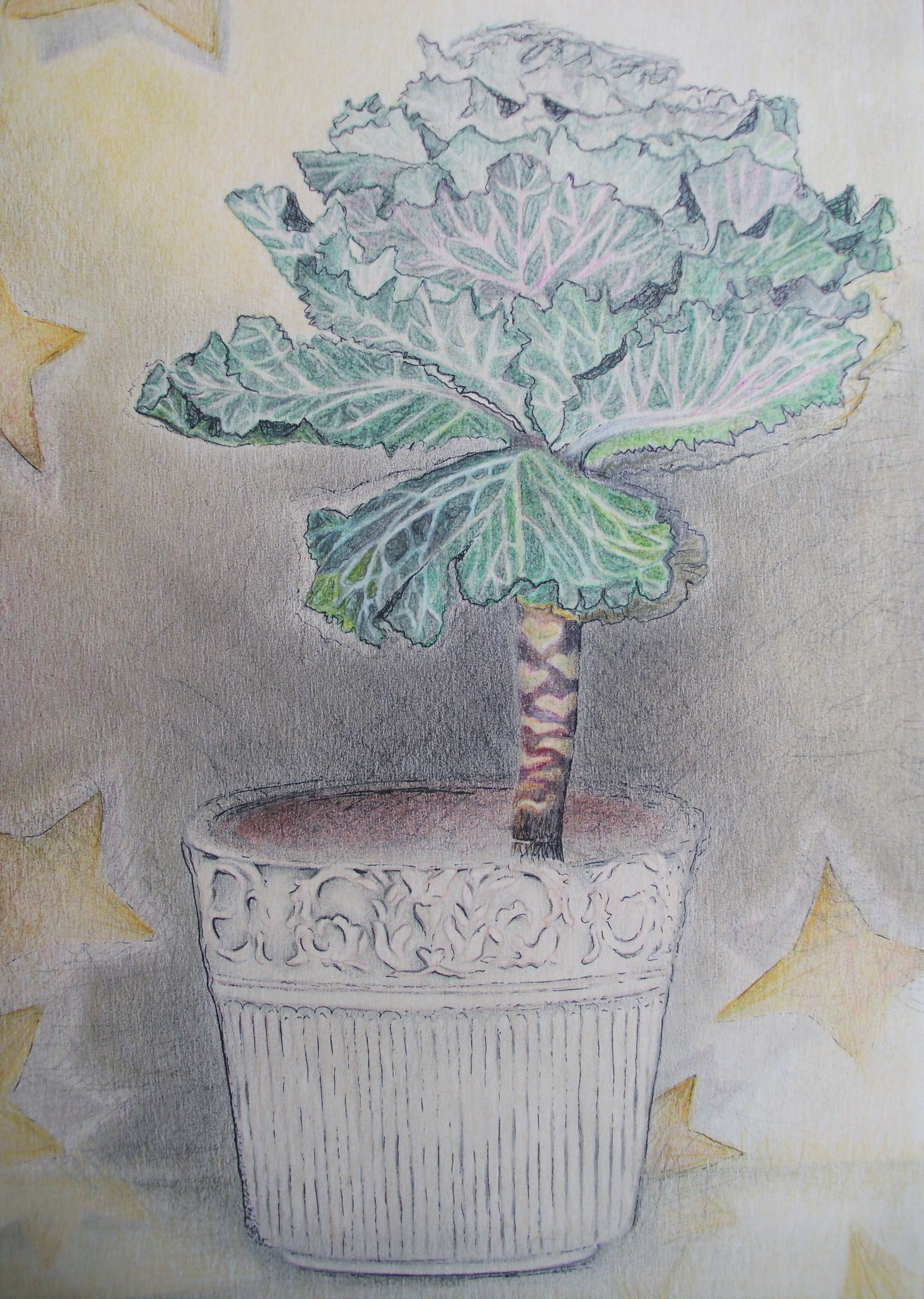 "Zierkohl", Fineliner, Blei- Buntstift, 23x36, 2000